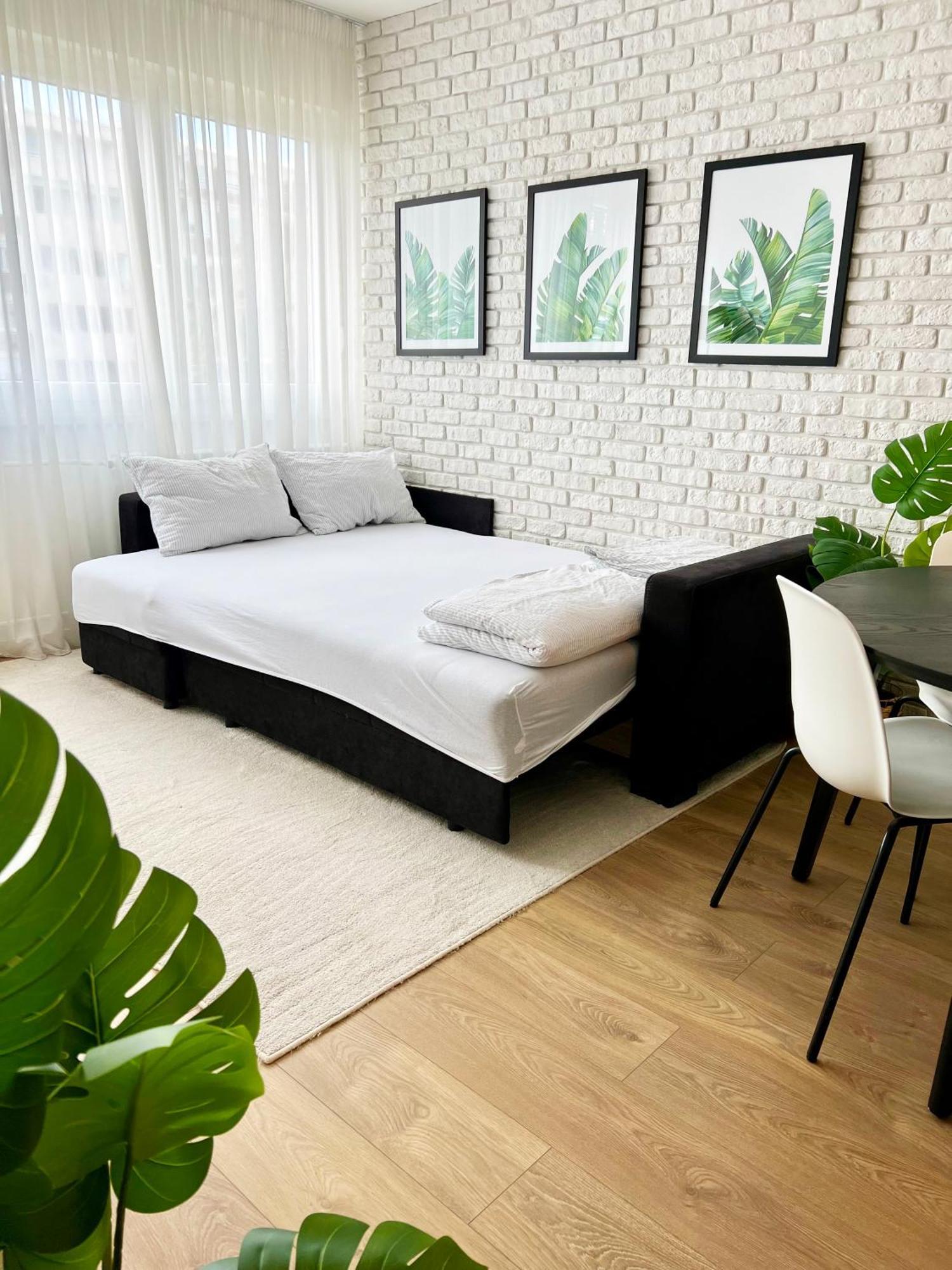 The Black & White Oasis Belgrade Extérieur photo